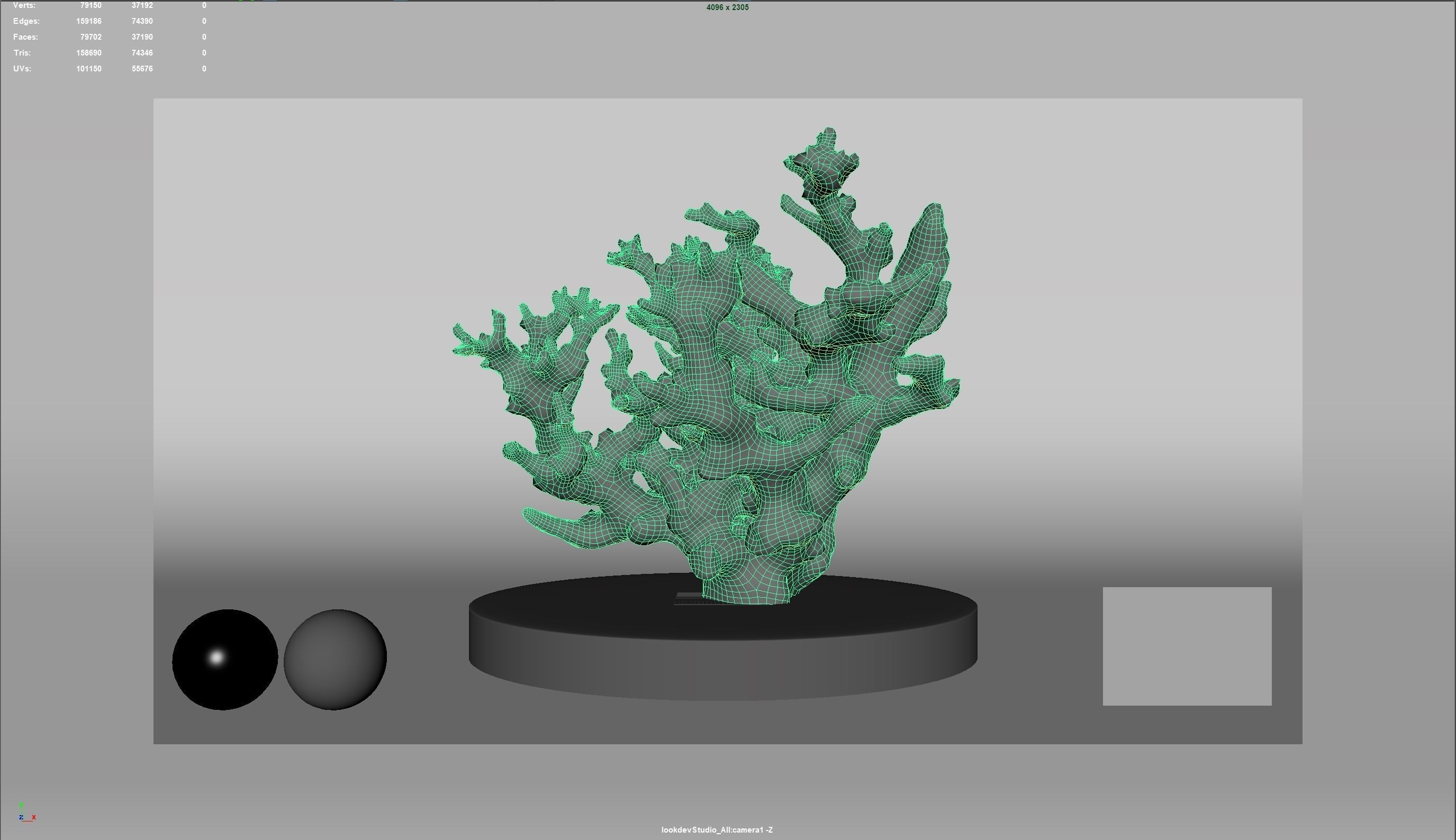 HQ Assets Coral Finger Leather CoralAB Arnold 3D model_4