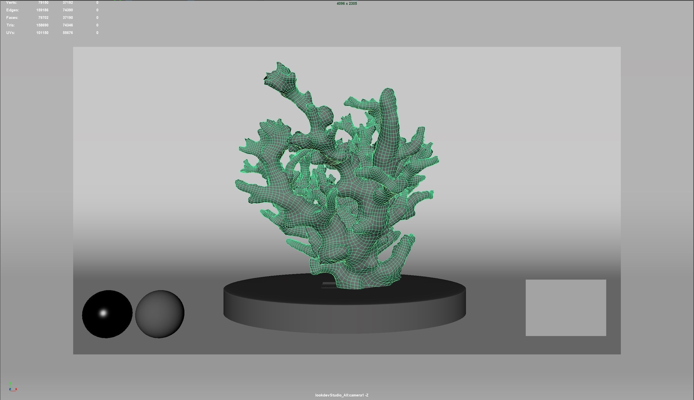 HQ Assets Coral Finger Leather CoralAB Arnold 3D model_3