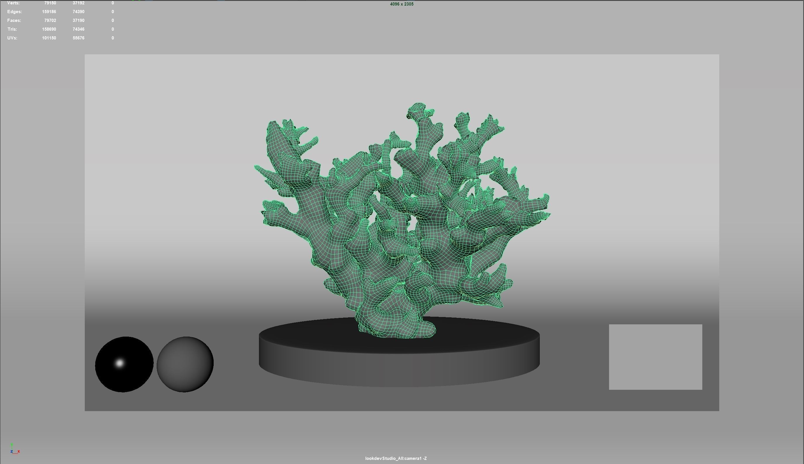 HQ Assets Coral Finger Leather CoralAB Arnold 3D model_9