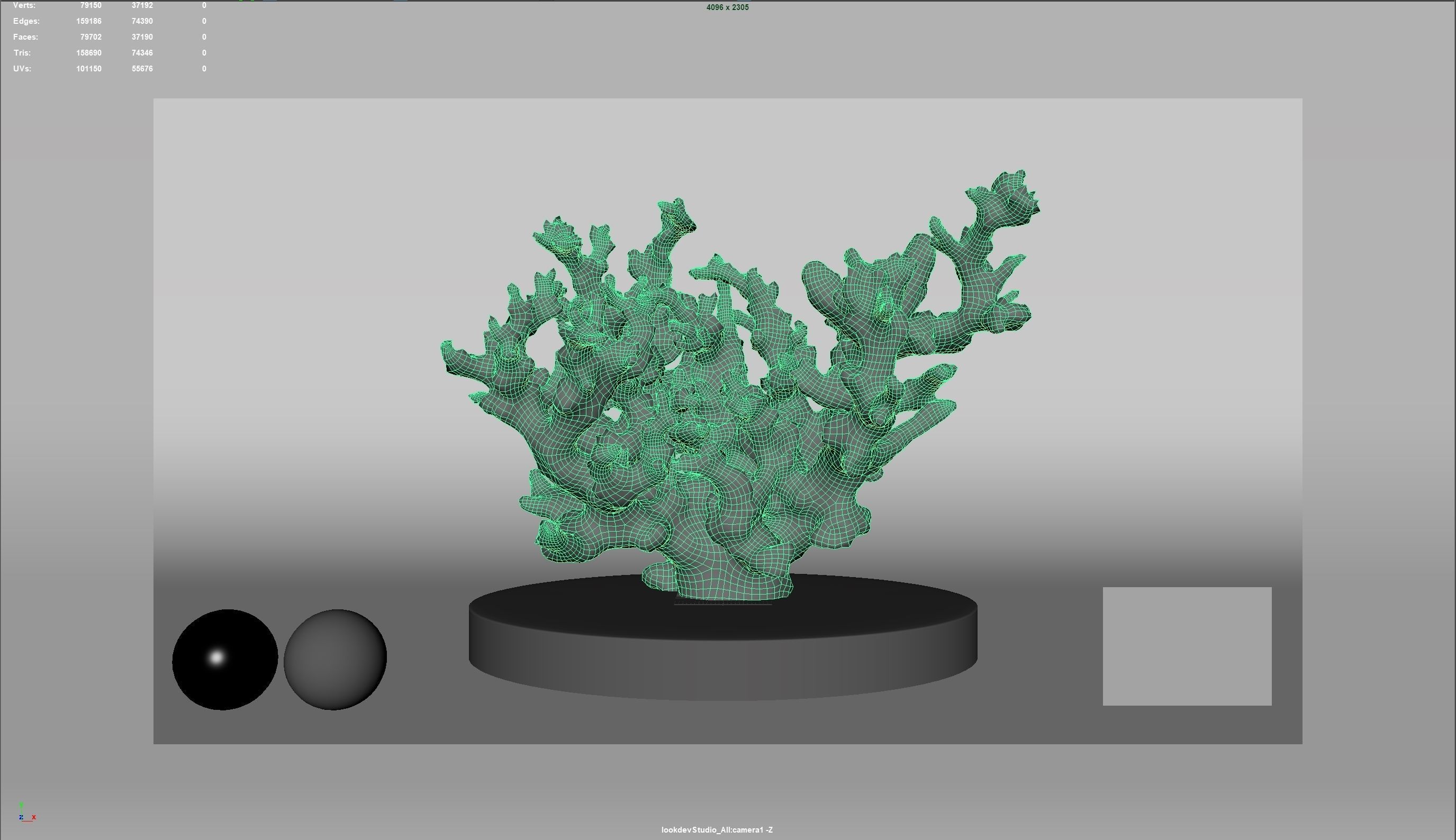 HQ Assets Coral Finger Leather CoralAB Arnold 3D model_5