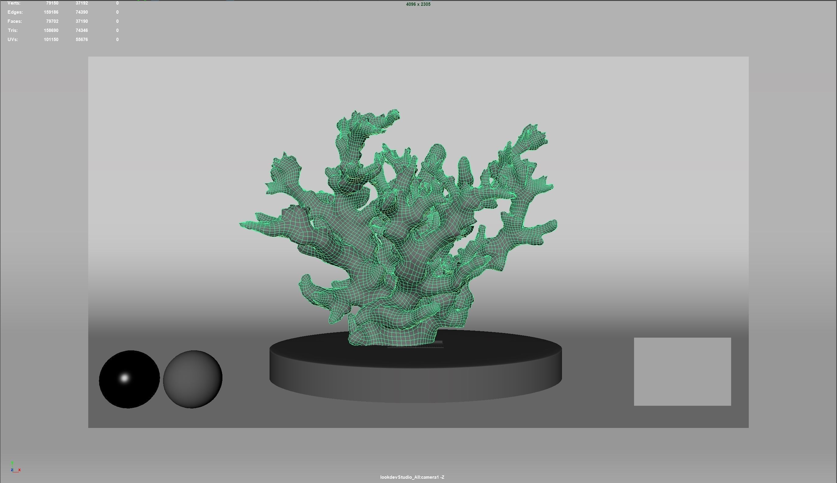 HQ Assets Coral Finger Leather CoralAB Arnold 3D model_6