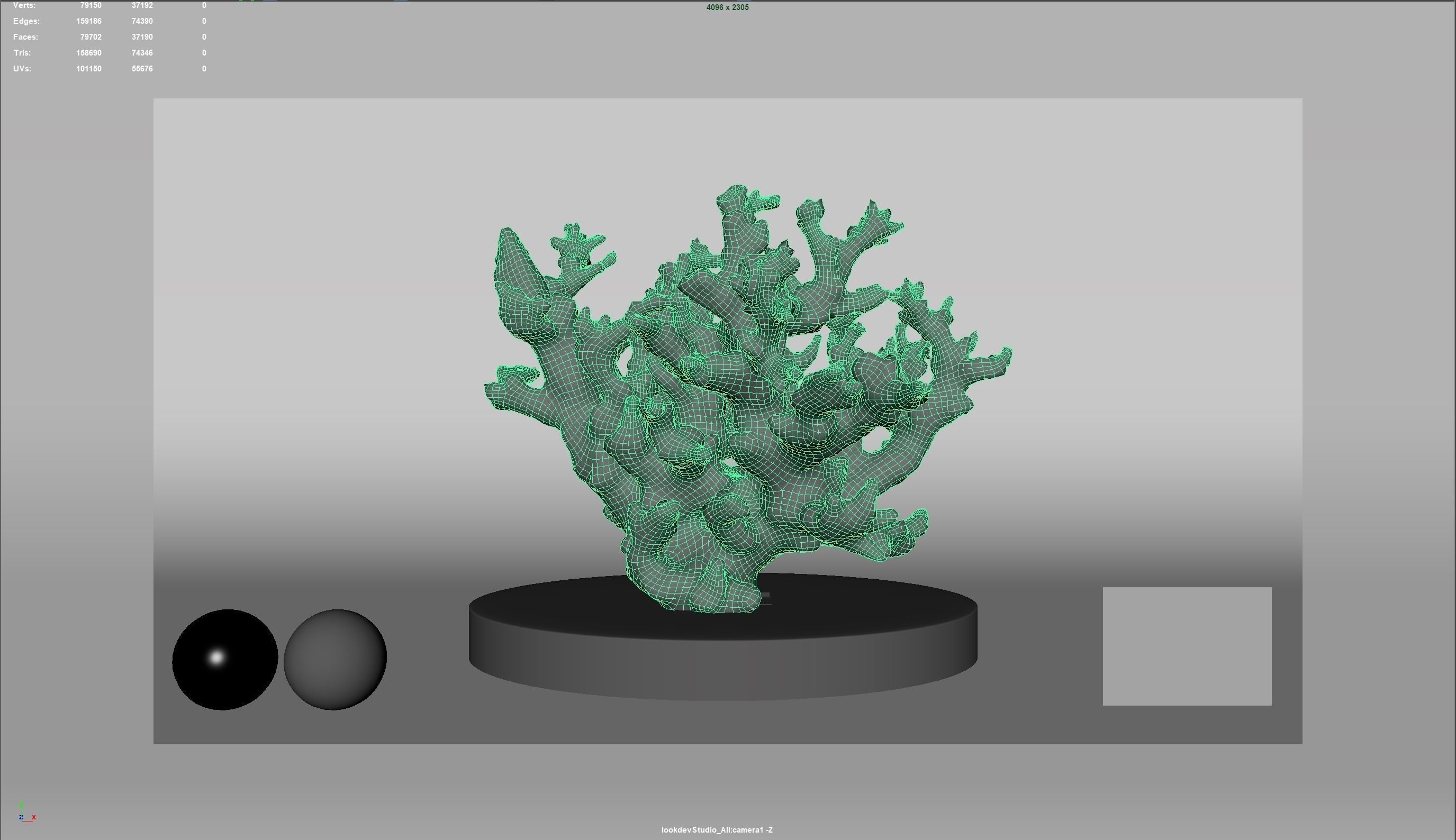 HQ Assets Coral Finger Leather CoralAB Arnold 3D model_8