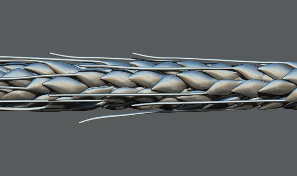 Ear Of Wheat 3d Printable model 3D print model_3