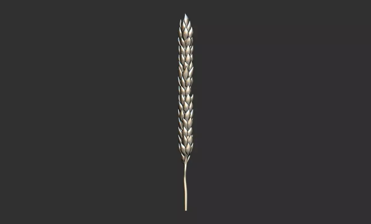 Ear Of Wheat 3d Printable model 3D print model_9