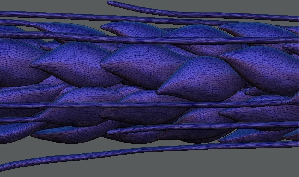 Ear Of Wheat 3d Printable model 3D print model_8