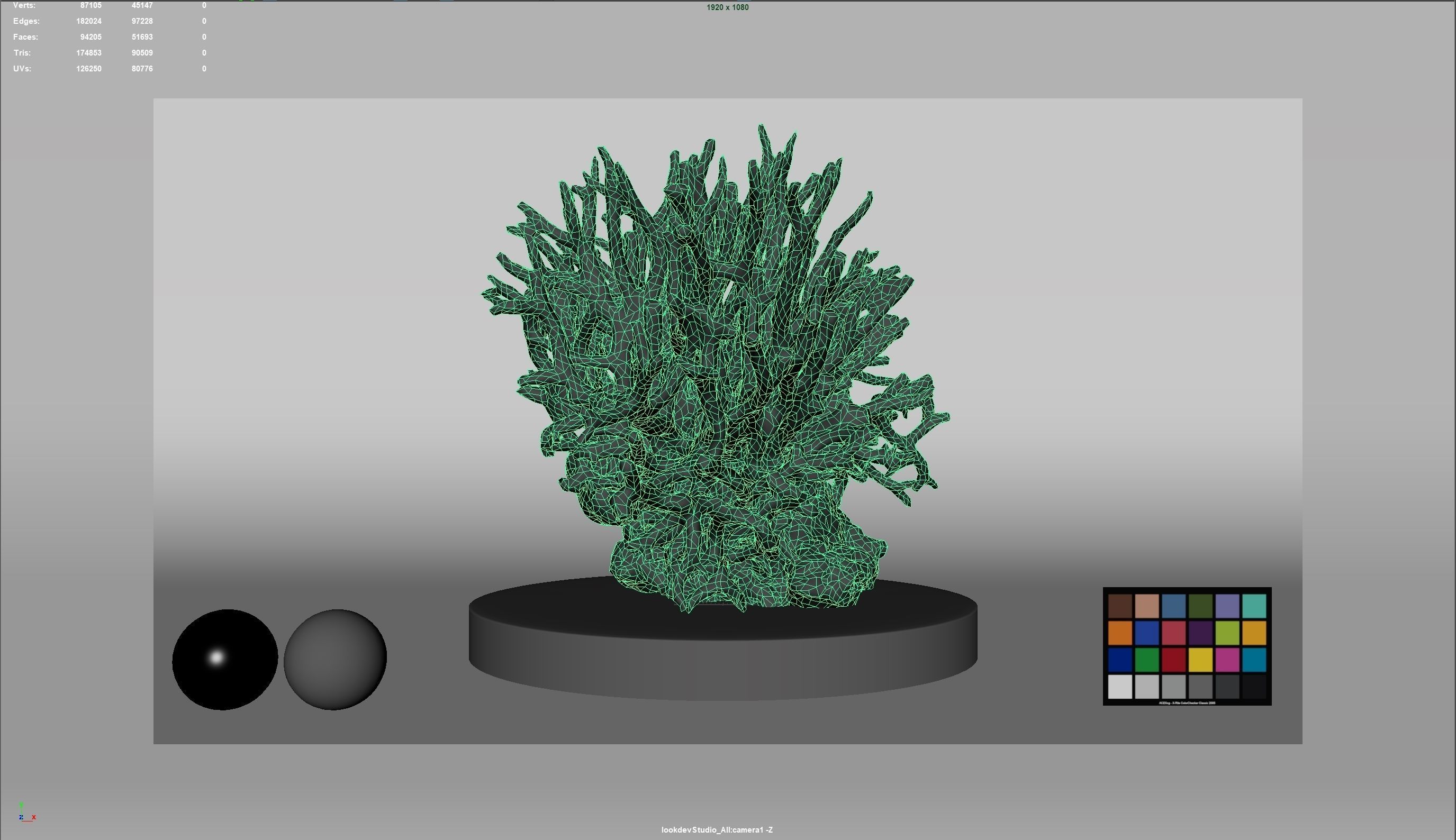 HQ Assets Coral Seriatopora HystrixAA Arnold 3D model_7