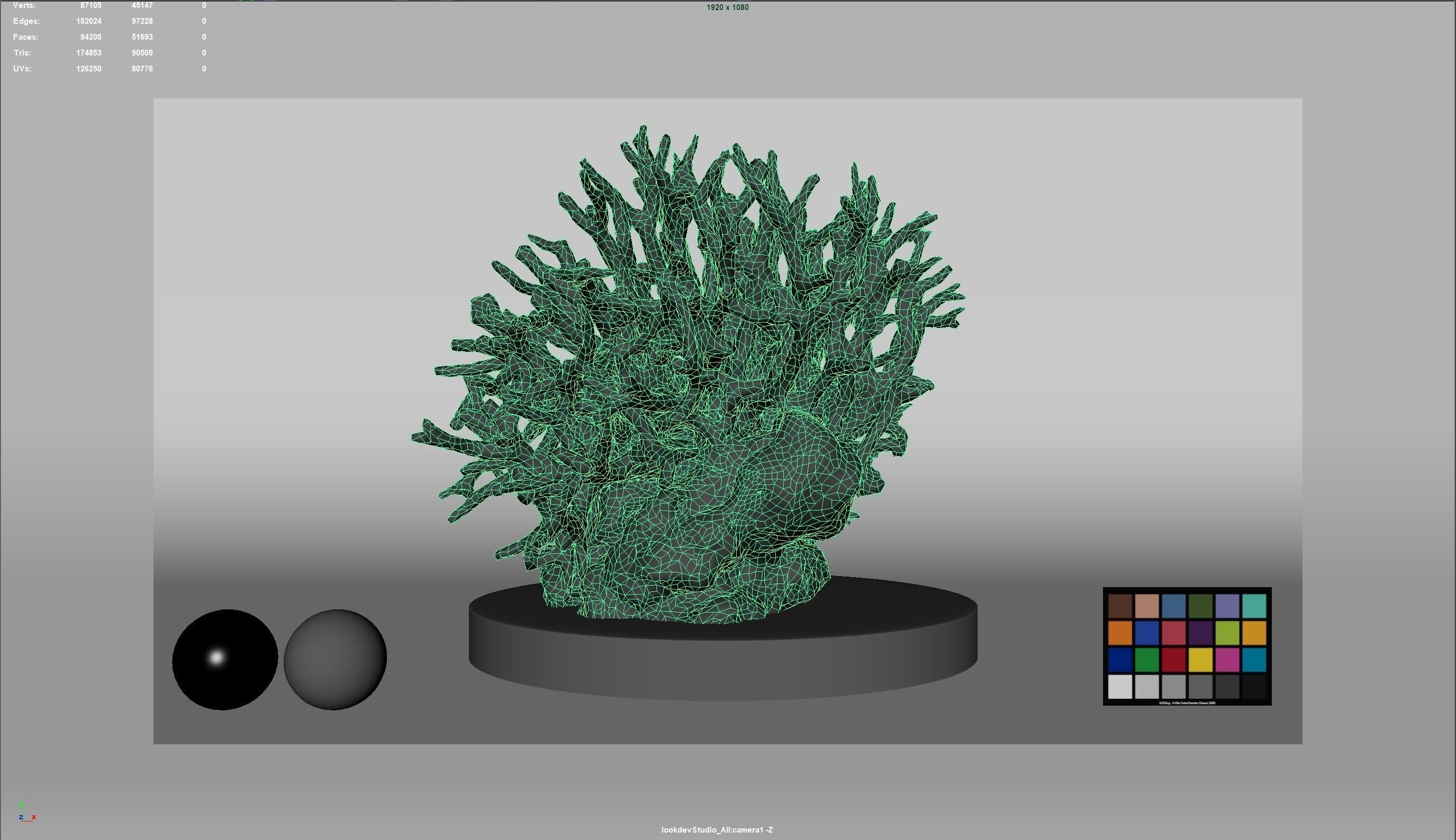 HQ Assets Coral Seriatopora HystrixAA Arnold 3D model_3