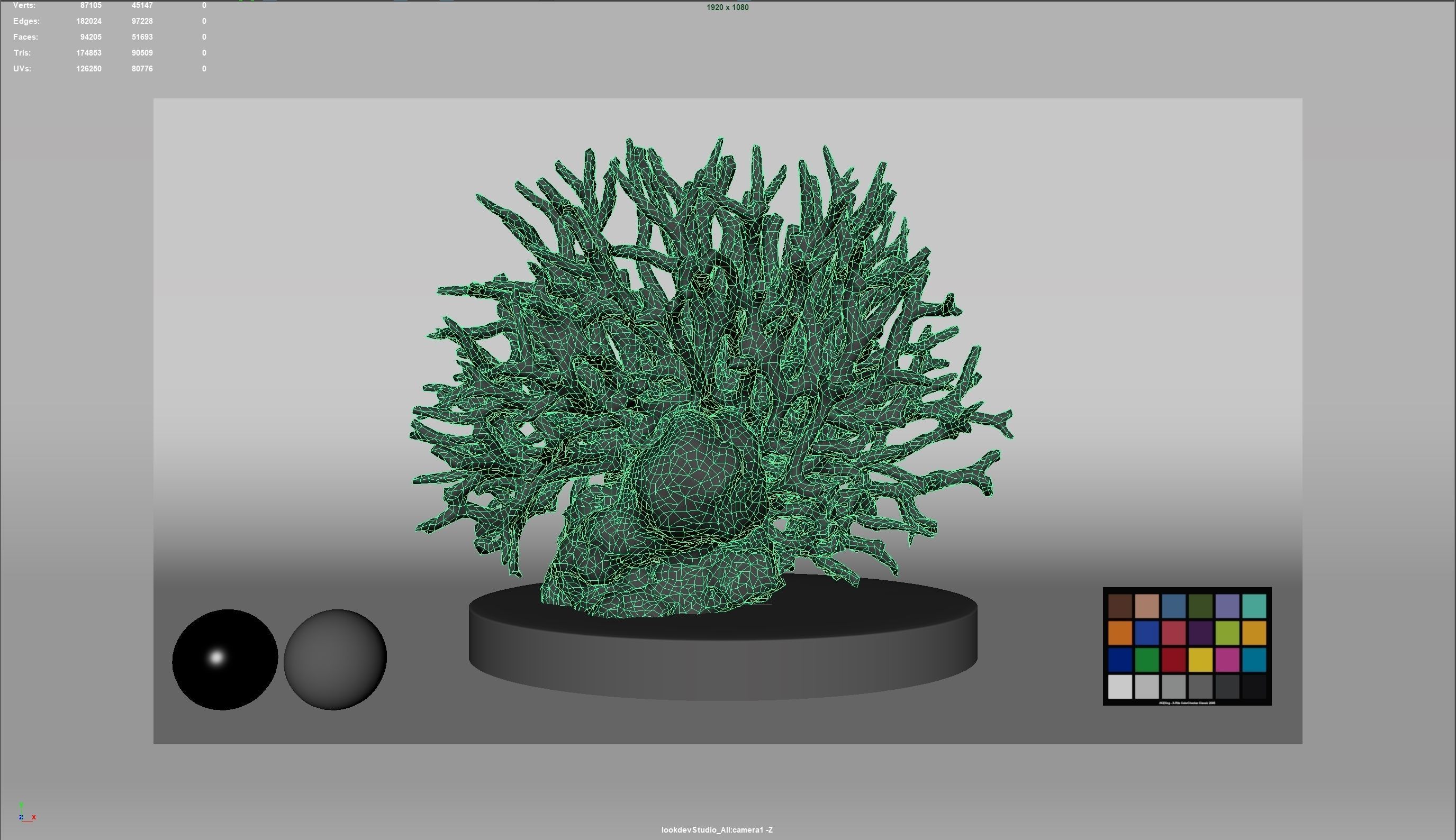 HQ Assets Coral Seriatopora HystrixAA Arnold 3D model_2
