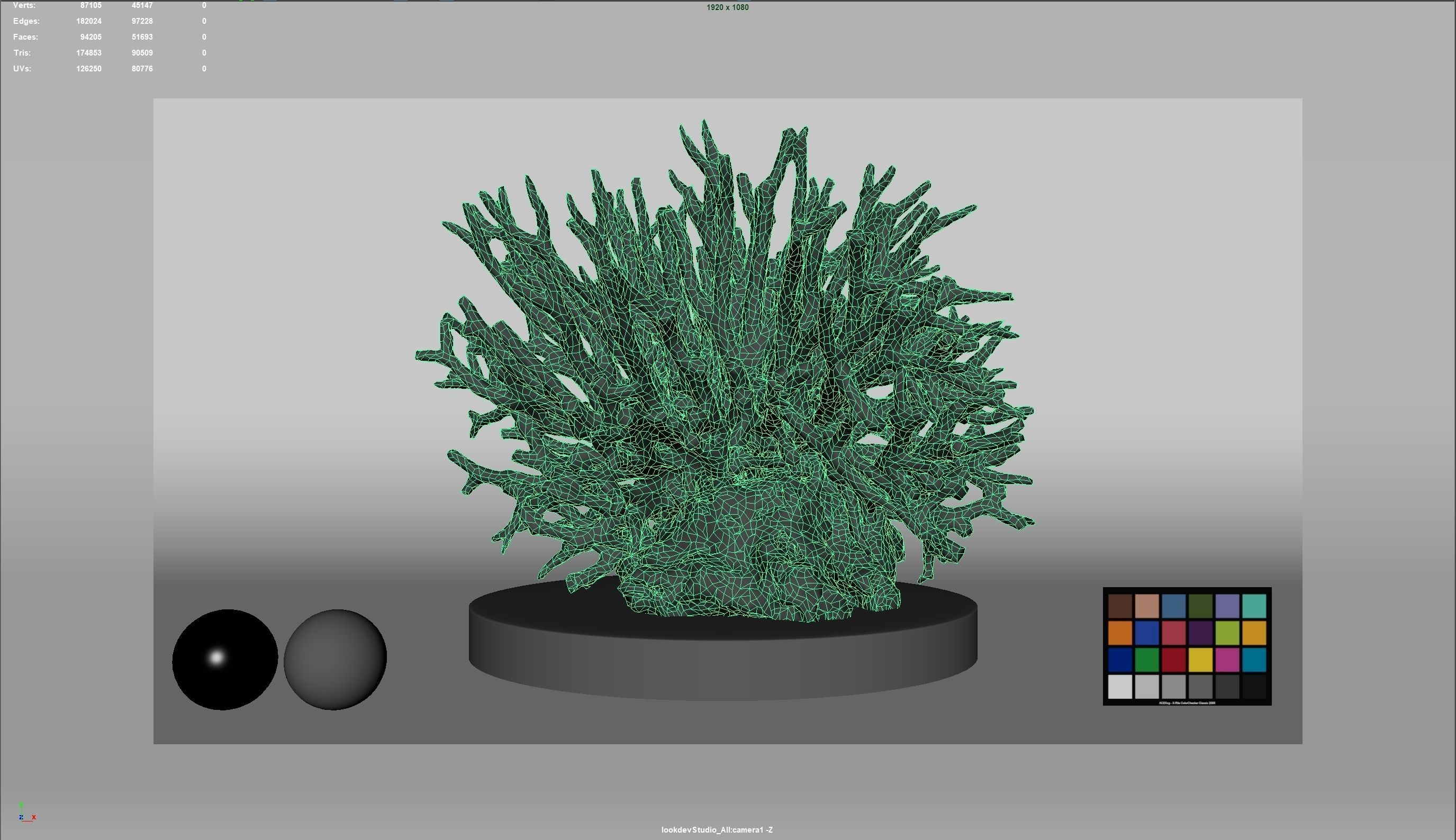 HQ Assets Coral Seriatopora HystrixAA Arnold 3D model_5