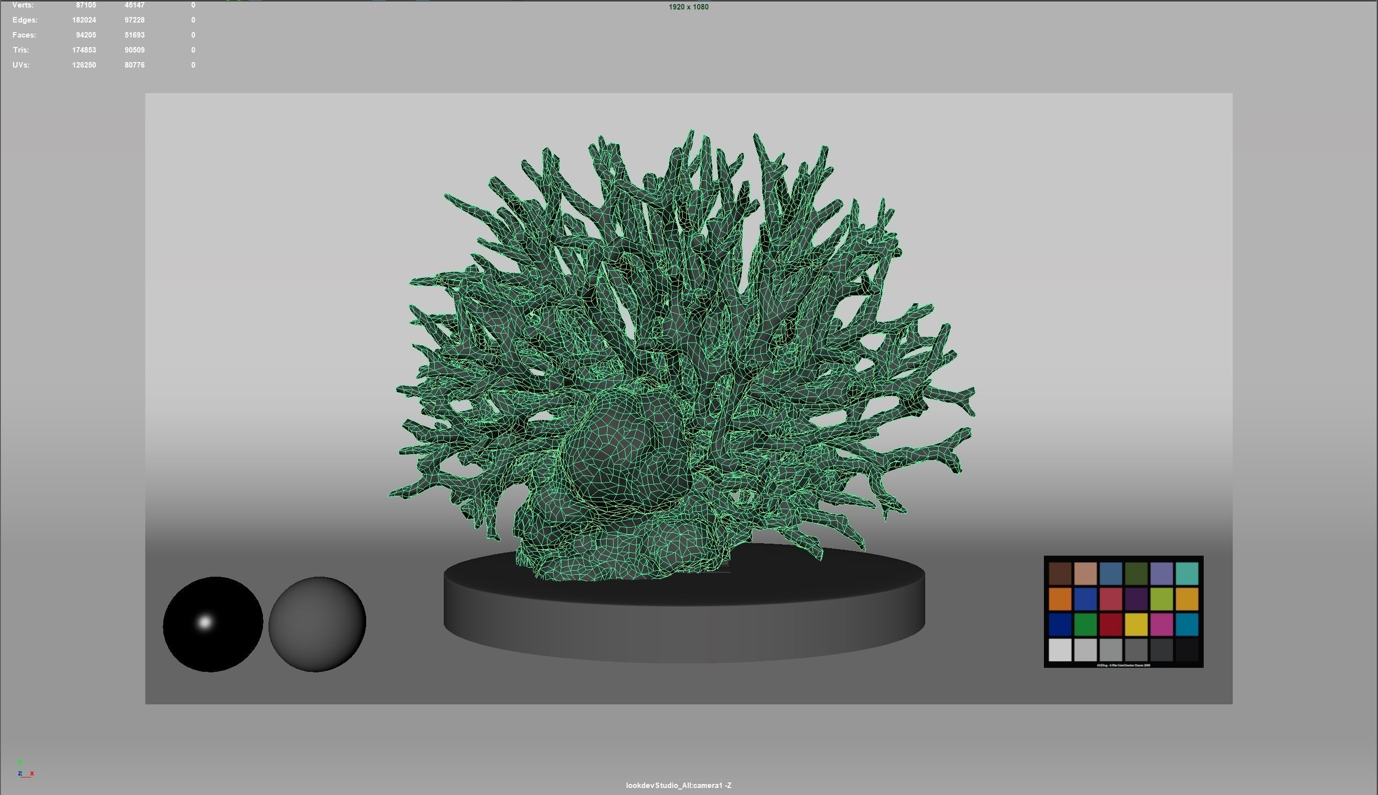 HQ Assets Coral Seriatopora HystrixAA Arnold 3D model_1