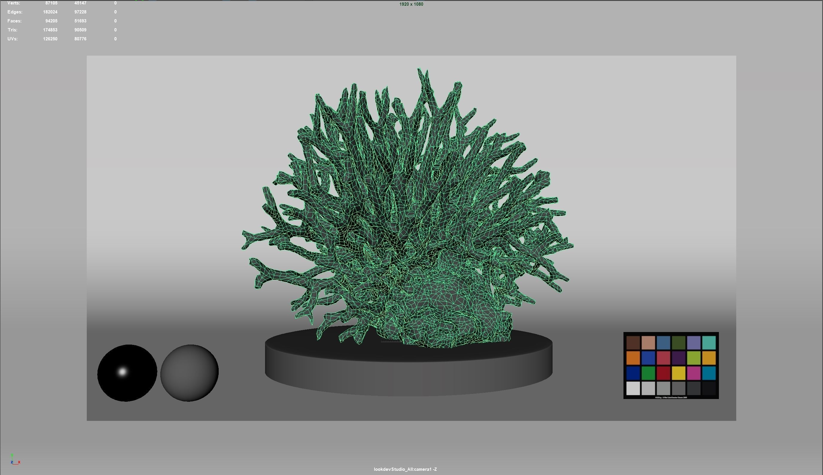 HQ Assets Coral Seriatopora HystrixAA Arnold 3D model_6