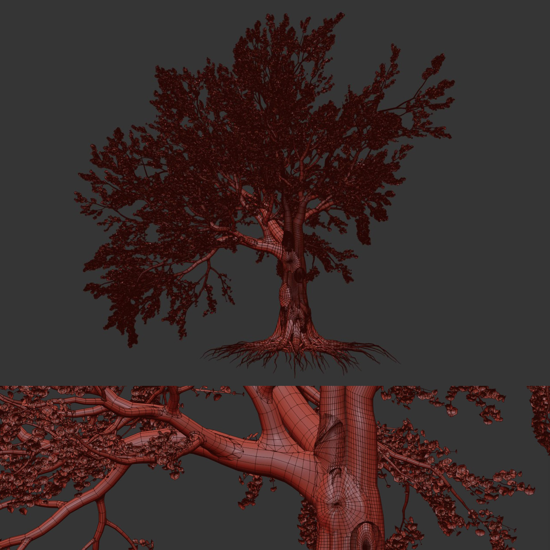 Cherry blossom tree vol 98 3D model_5