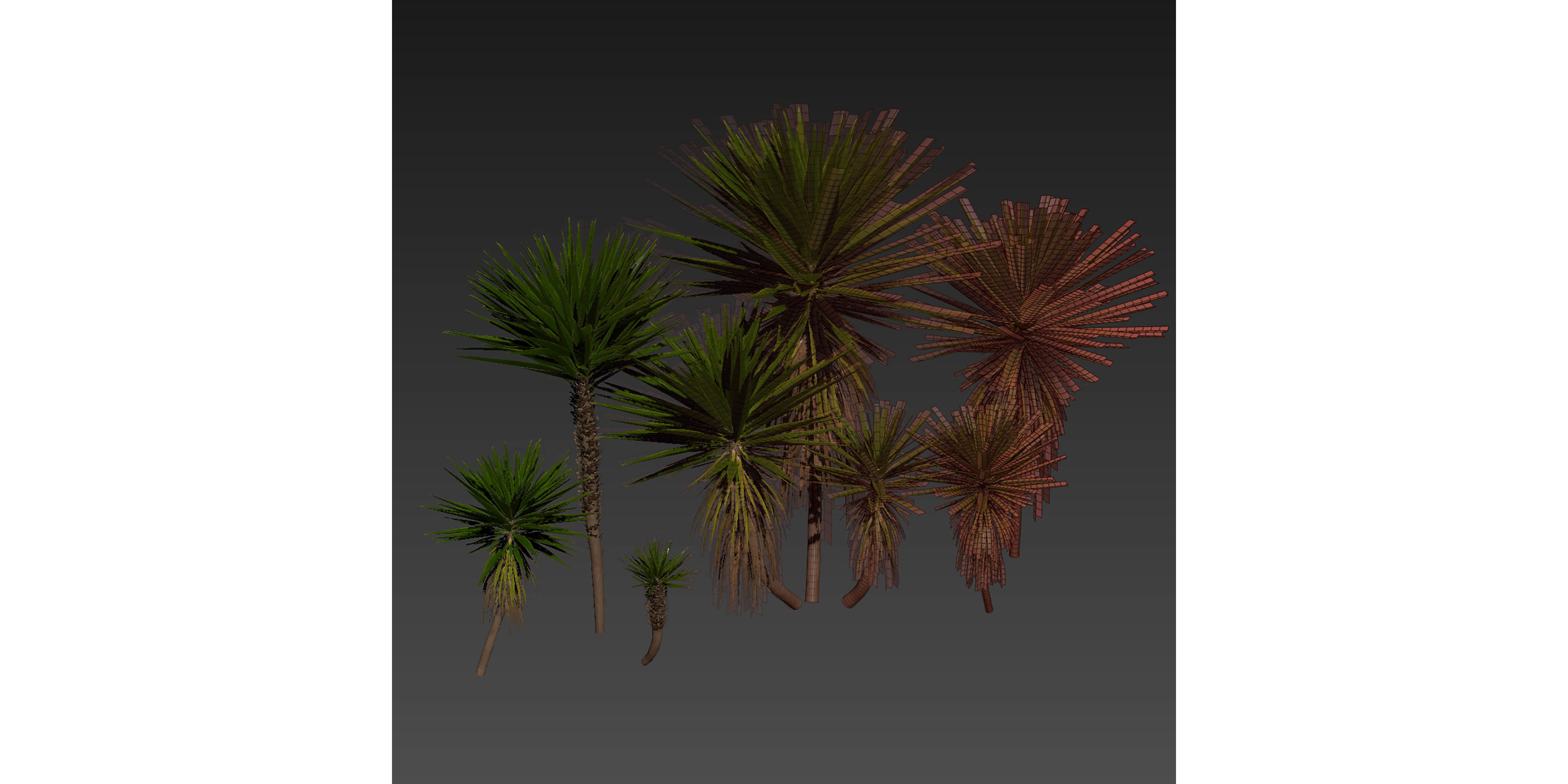 Collection plant vol 556 -  Spineless - Yucca - palm  3D model_7