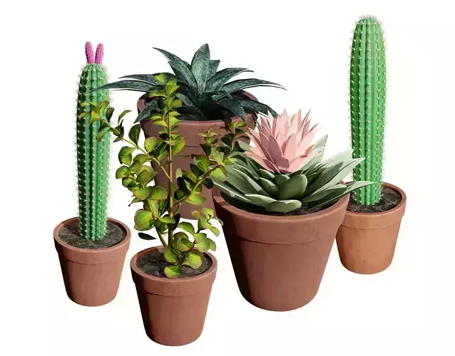 Potted Cactus 3D Mode Low-poly 3D model