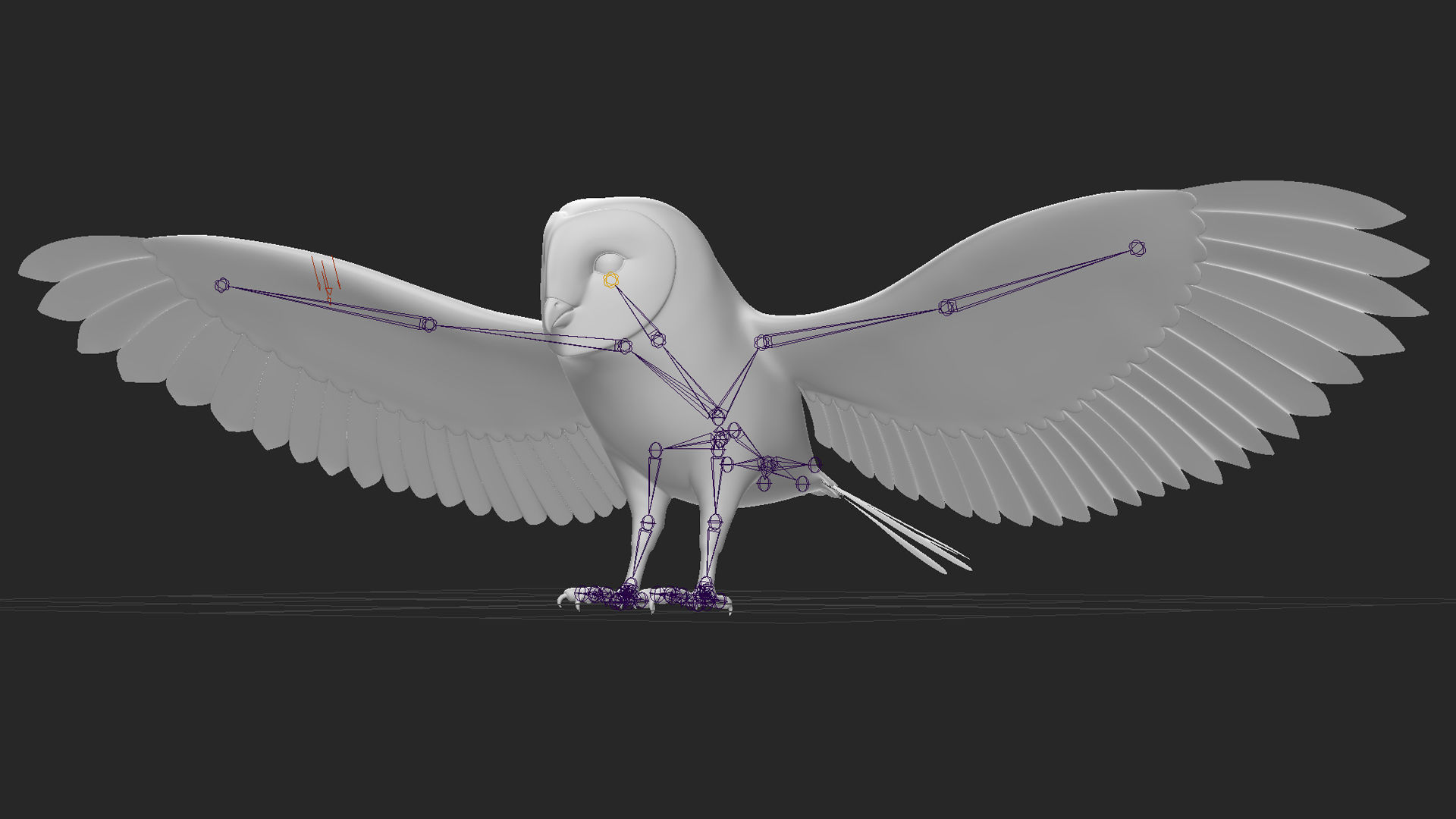 Barn Owl - Flight 3D model_19