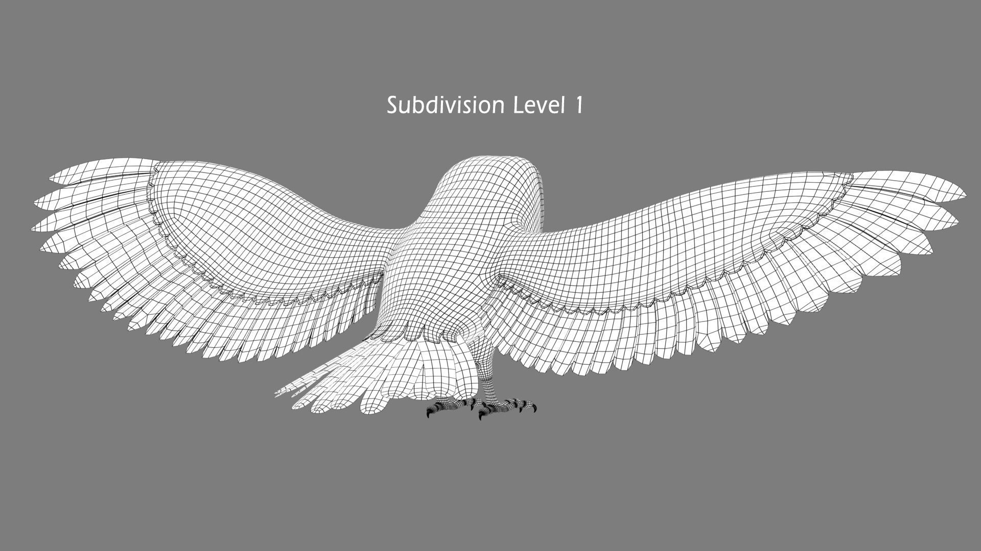 Barn Owl - Flight 3D model_18