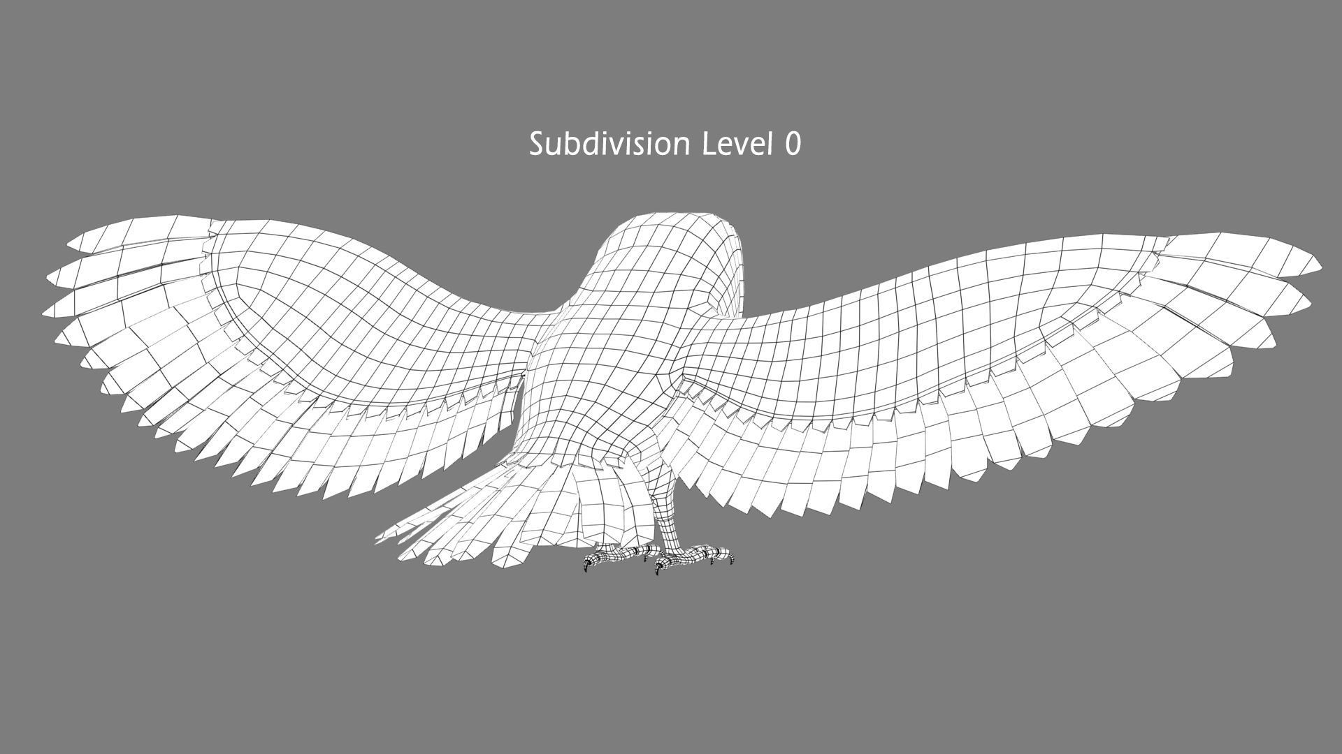 Barn Owl - Flight 3D model_17