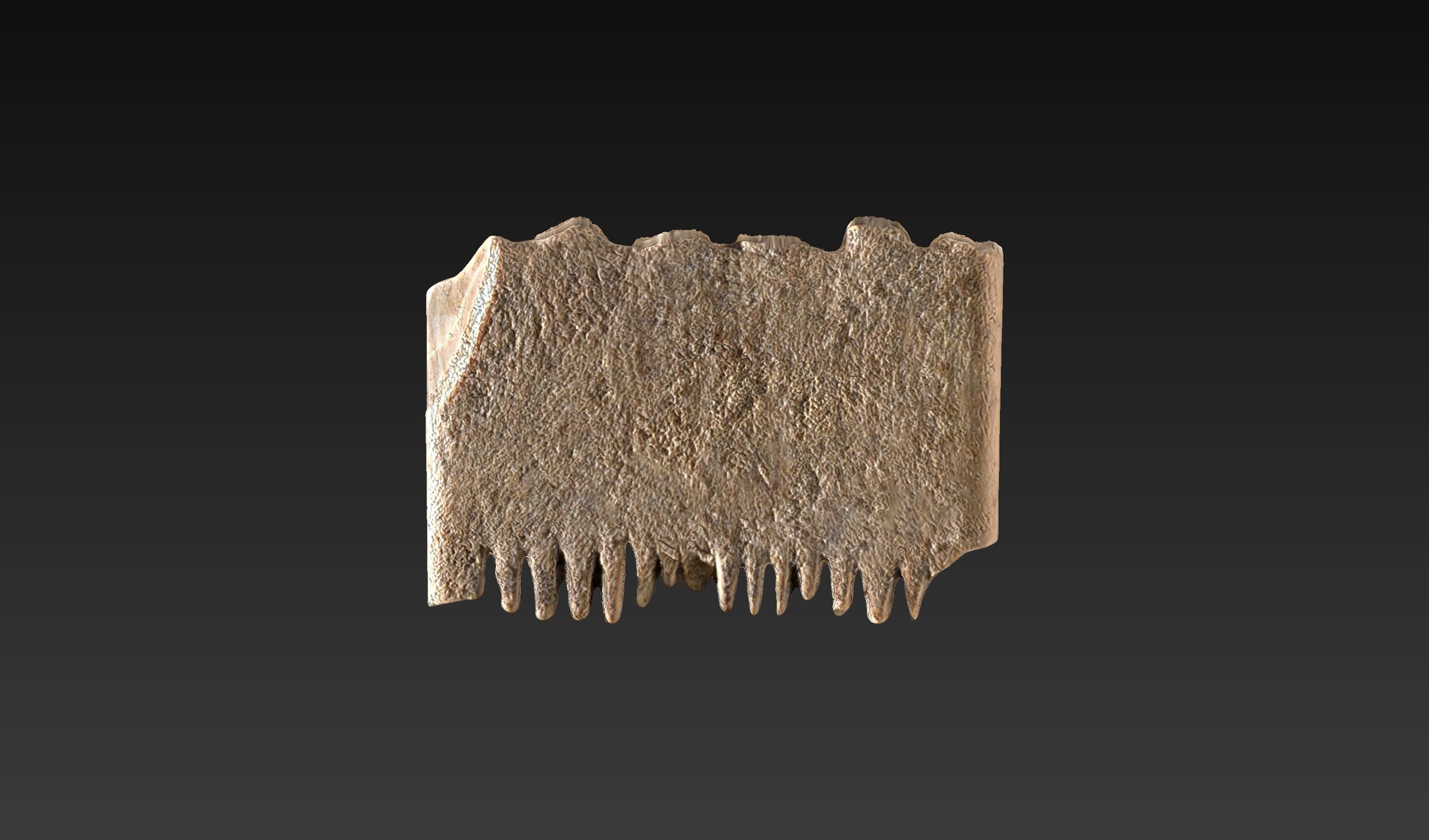 CANAANITE COMB 3D print model_3
