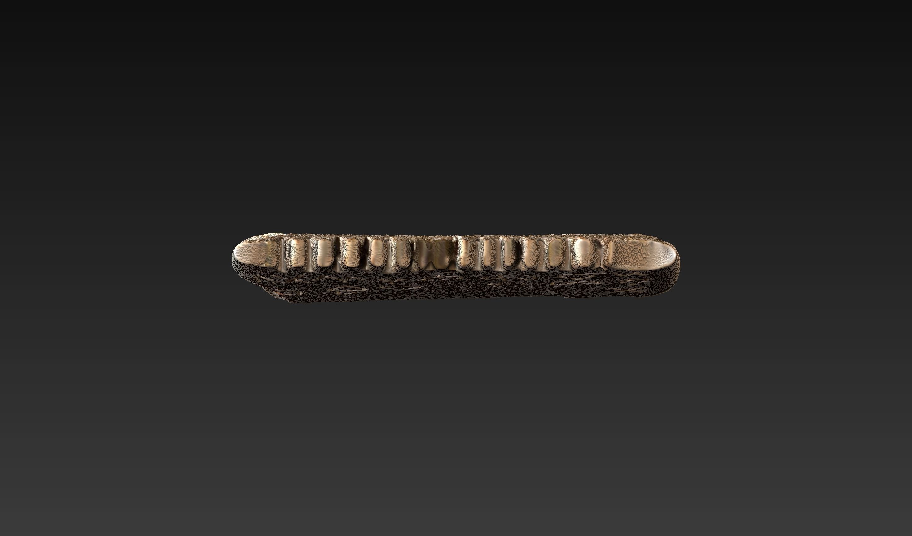CANAANITE COMB 3D print model_6