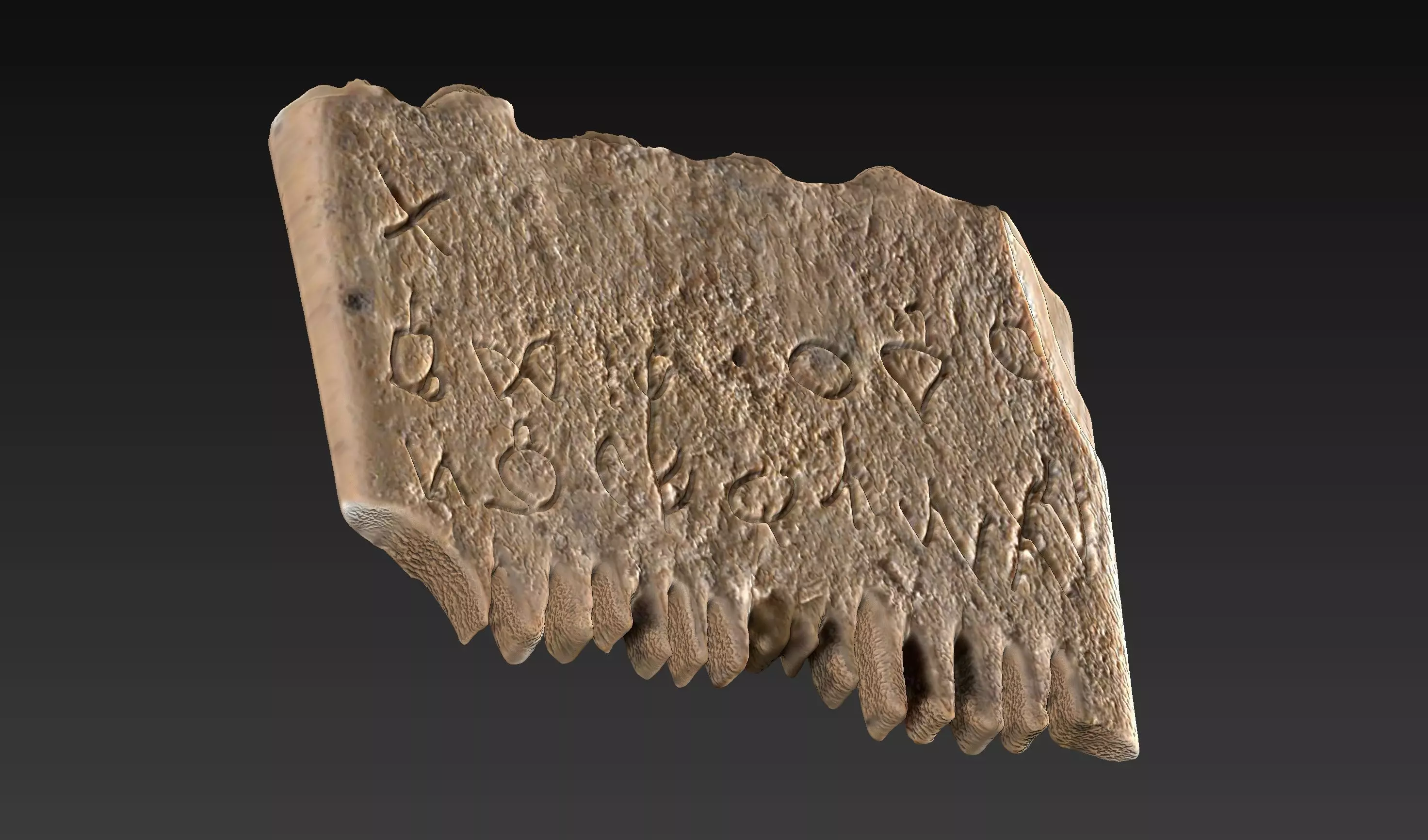 CANAANITE COMB 3D print model_0