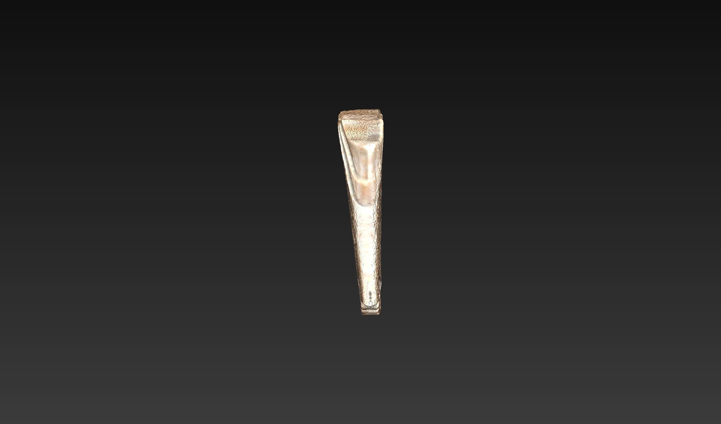 CANAANITE COMB 3D print model_5