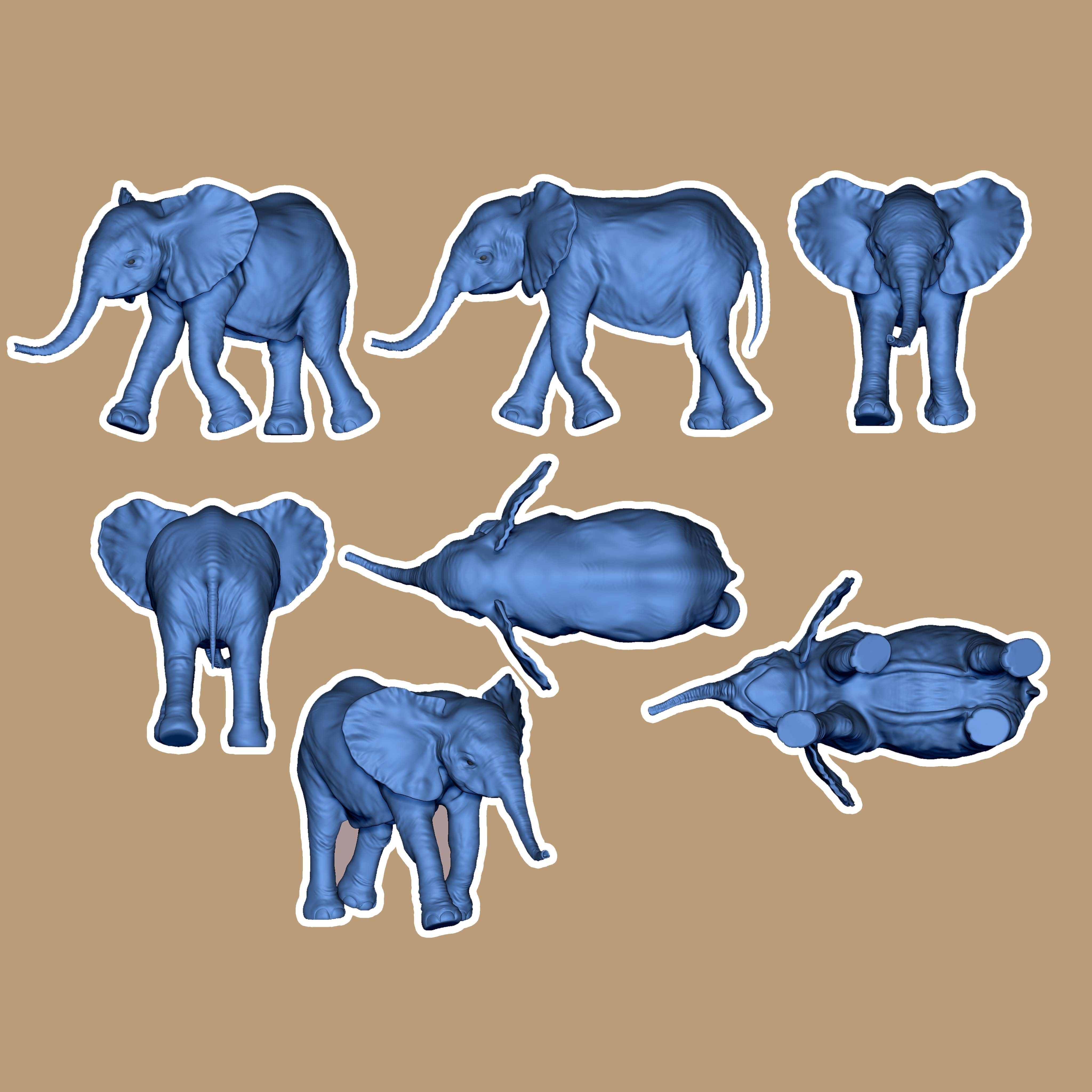 Baby Elephant  3D print model_1