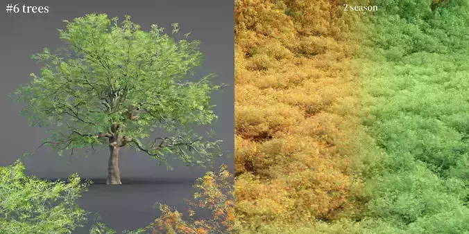 Low poly Oak tree vol 54 Low-poly 3D model