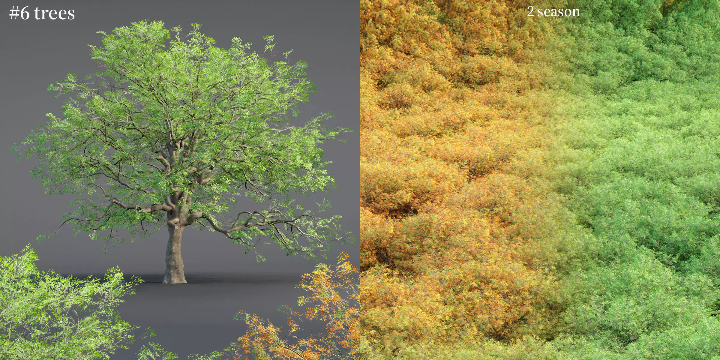 Low poly Oak tree vol 54 Low-poly 3D model_0