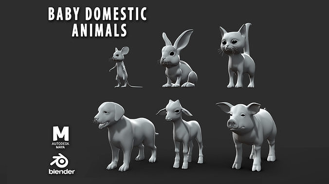 6 Baby Domestic Animal  3D Model Collection