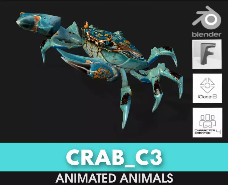 Crab-C3 3D model_0