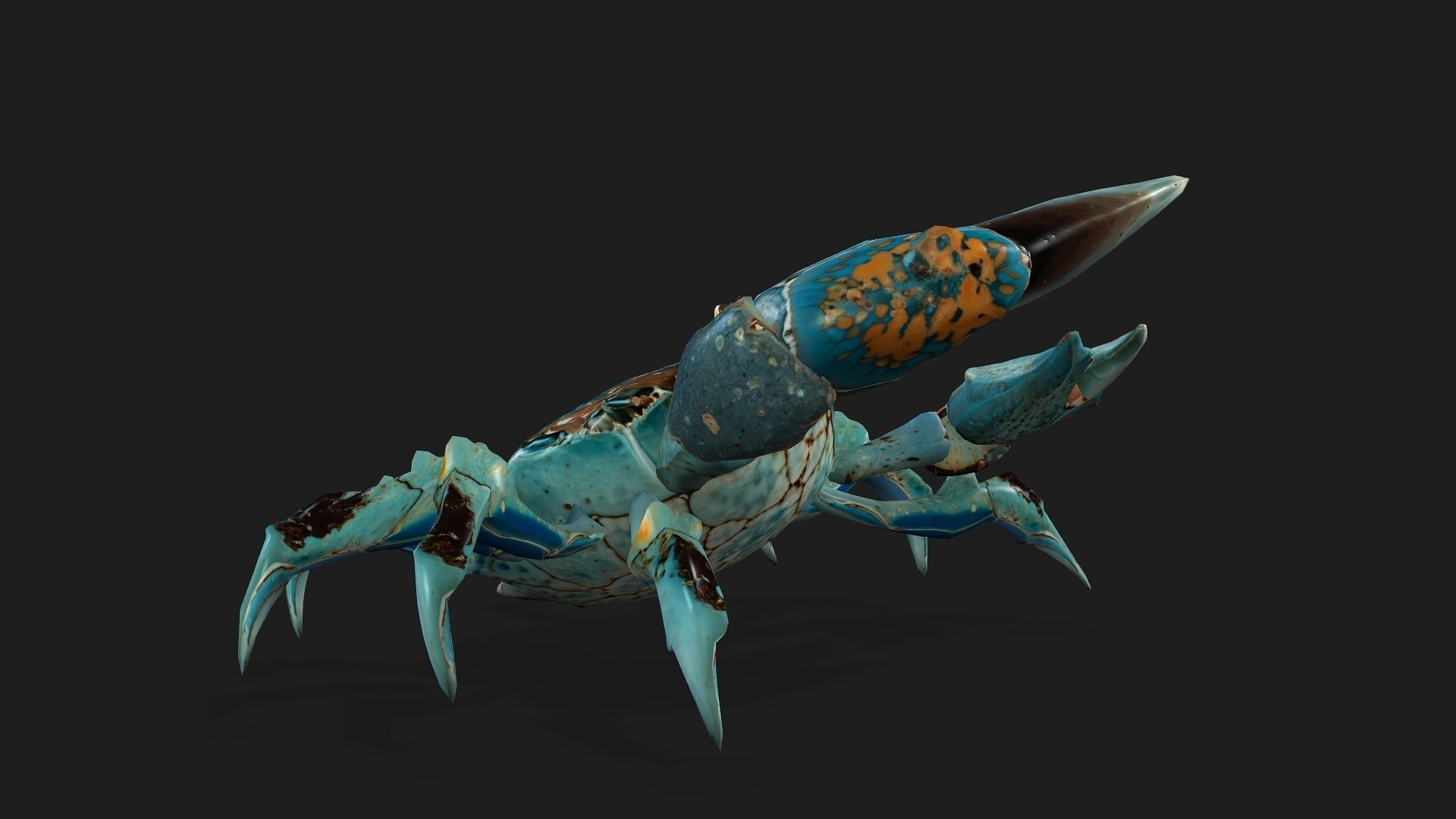 Crab-C3 3D model_7