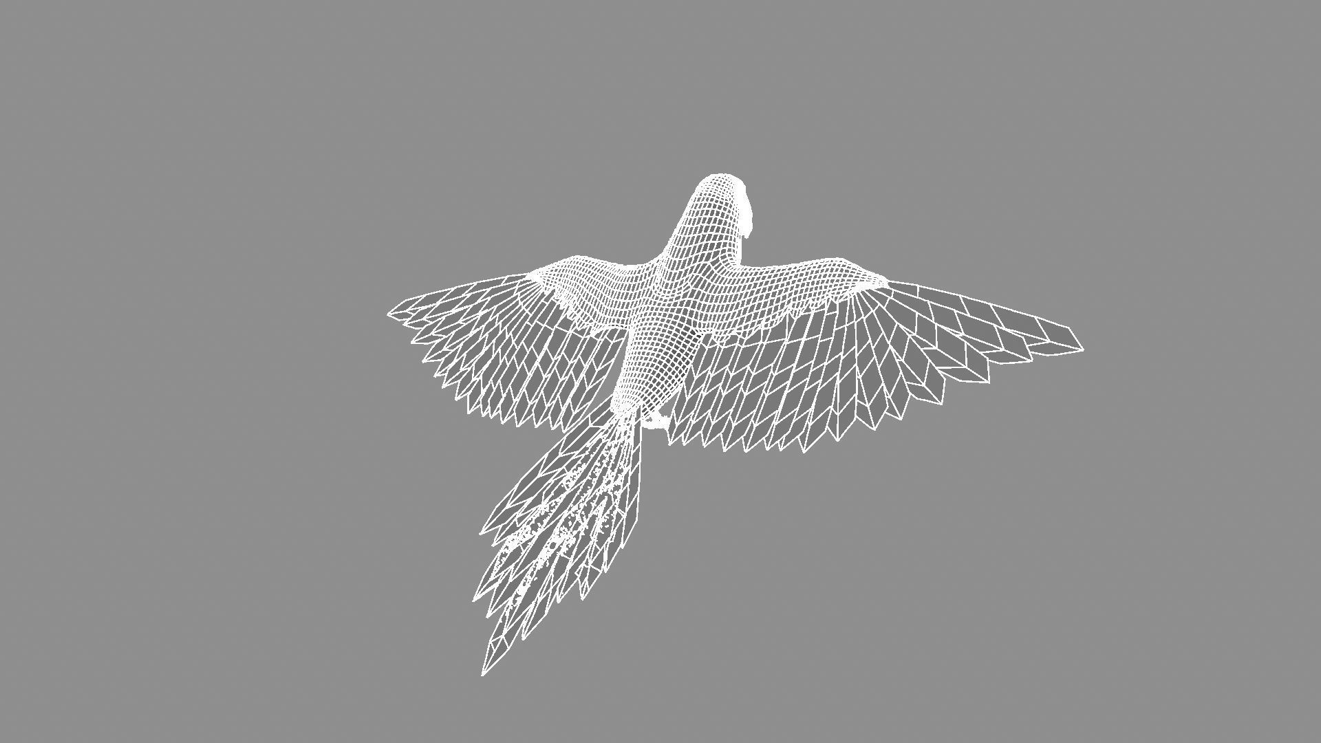 Macaw Rigged and Animation 3D model_9