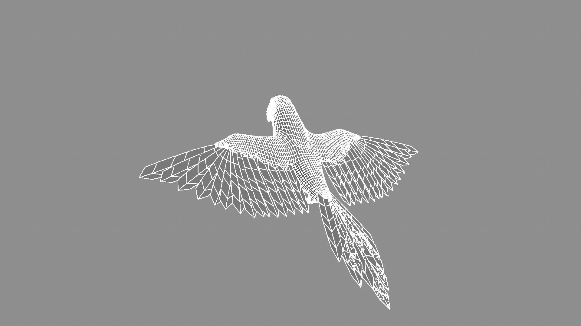 Macaw Rigged and Animation 3D model_8