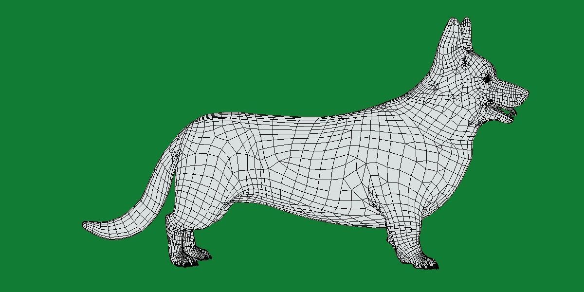 Cardigan Welsh Corgi Dog Low-poly 3D model_9