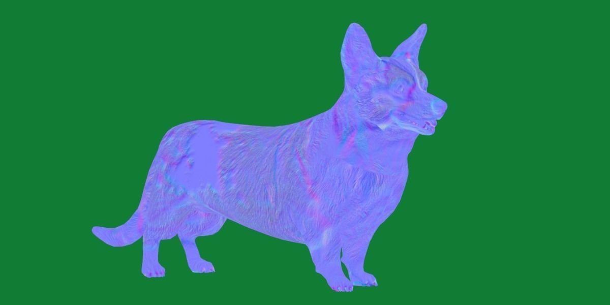 Cardigan Welsh Corgi Dog Low-poly 3D model_21