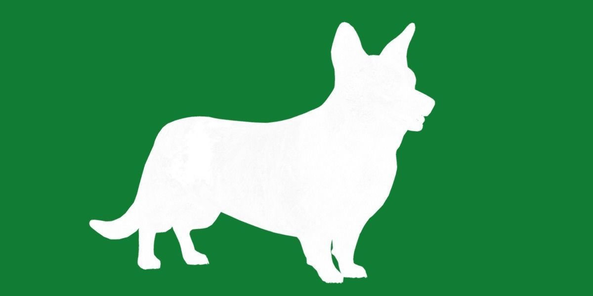 Cardigan Welsh Corgi Dog Low-poly 3D model_20