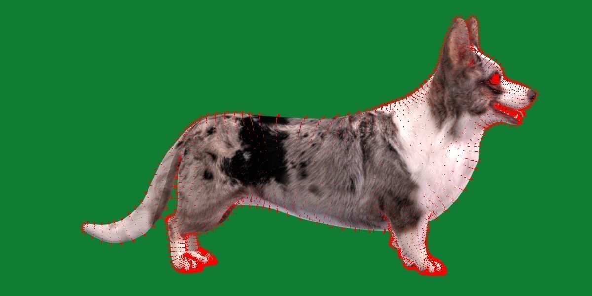 Cardigan Welsh Corgi Dog Low-poly 3D model_10