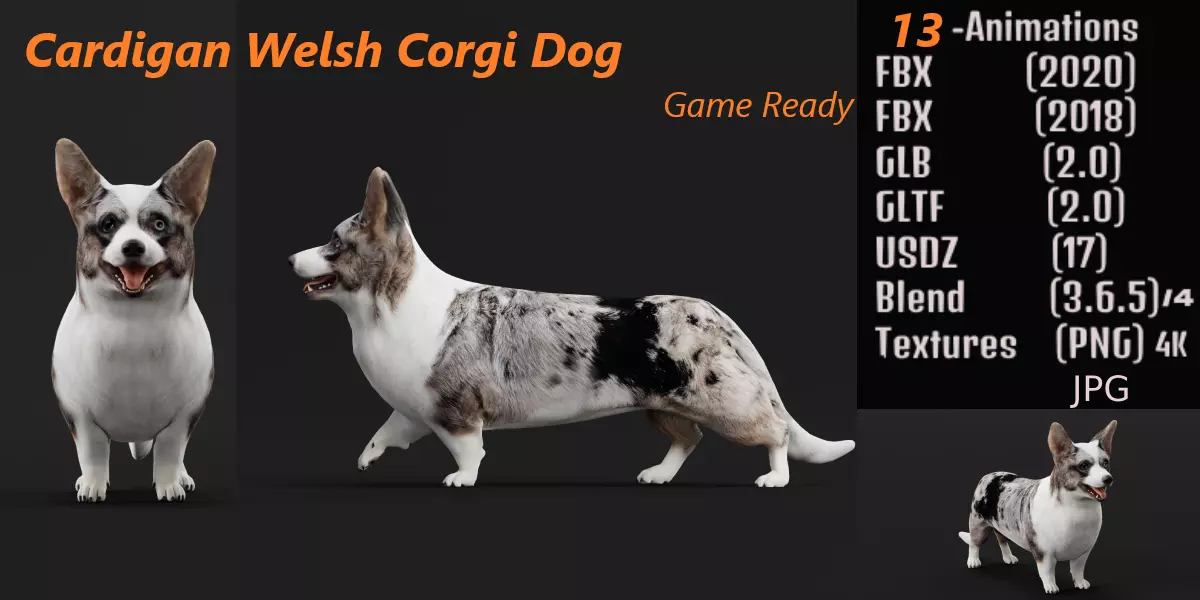 Cardigan Welsh Corgi Dog Low-poly 3D model_0