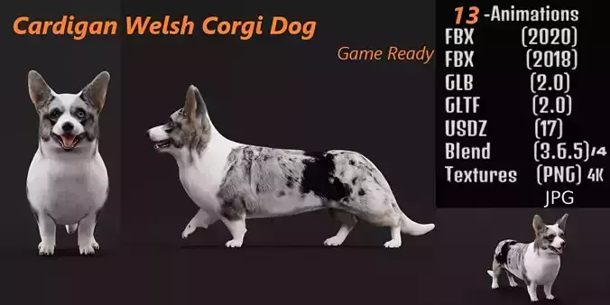 Cardigan Welsh Corgi Dog Low-poly 3D model