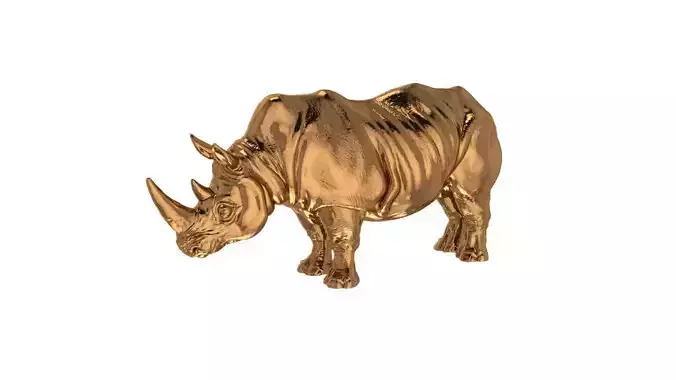 Rhino