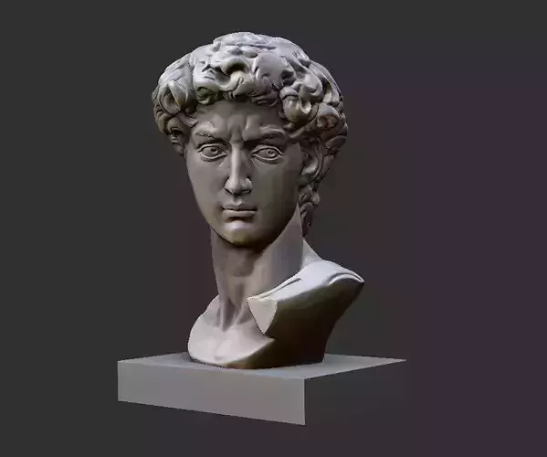 DAVID BUST