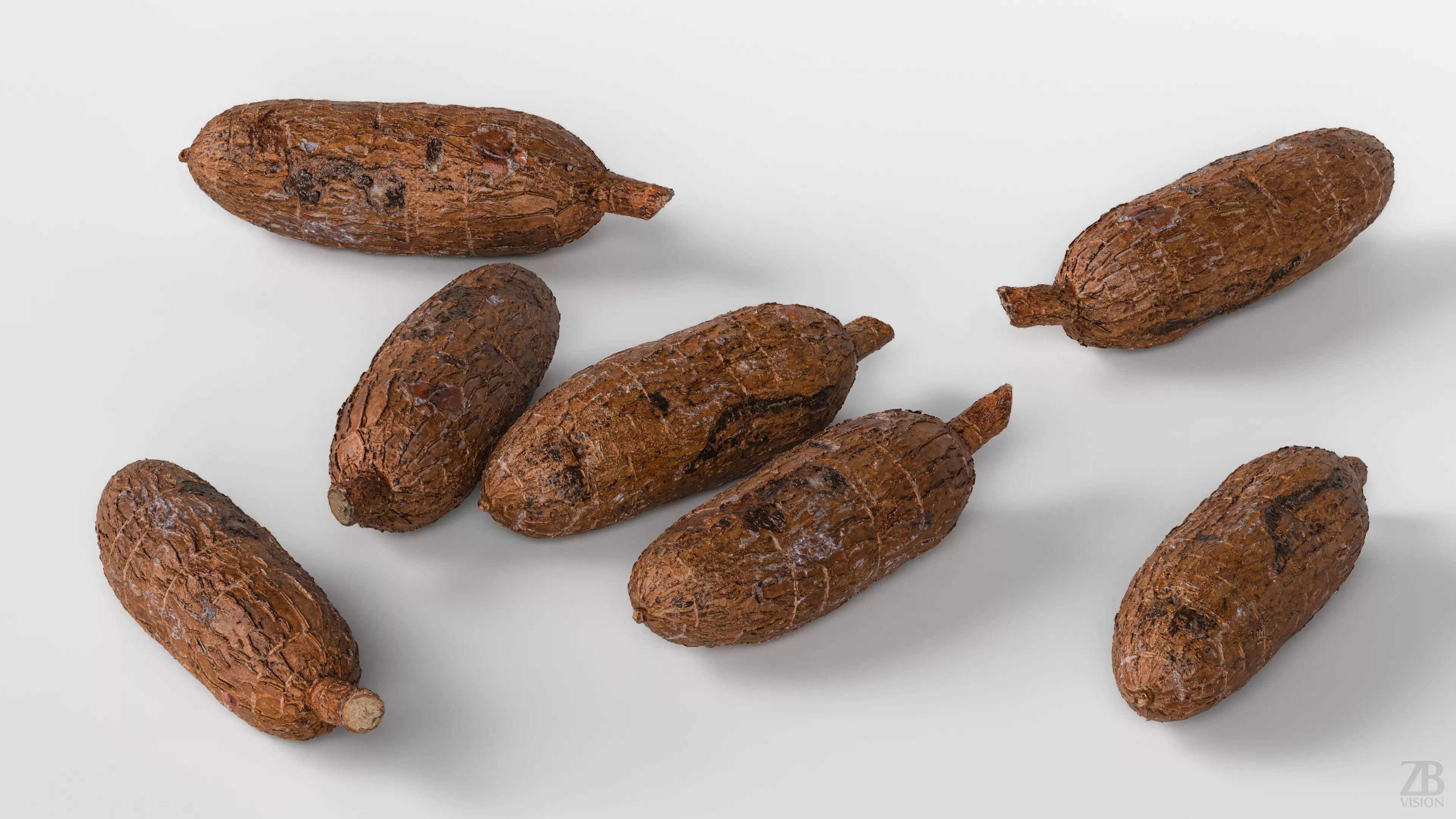 Cassava 3D model_2