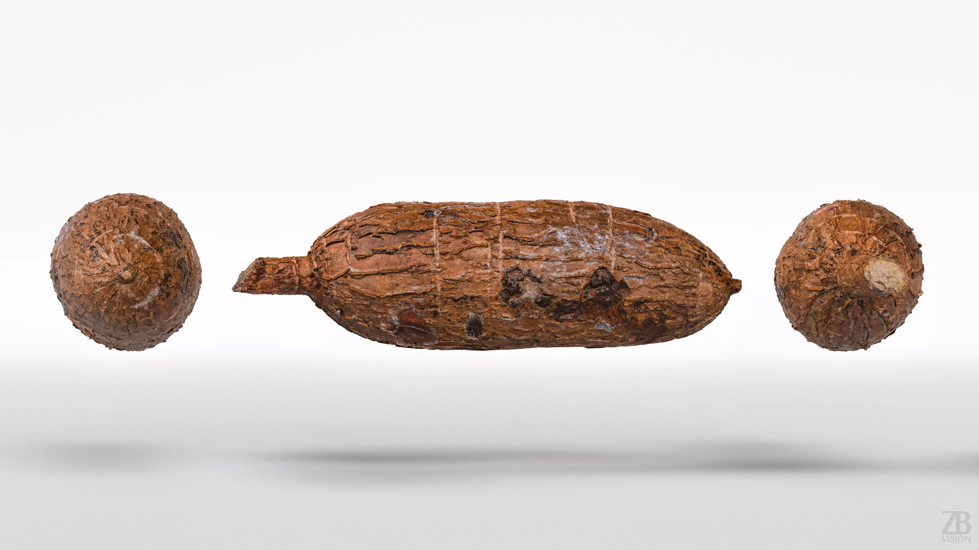 Cassava 3D model_4