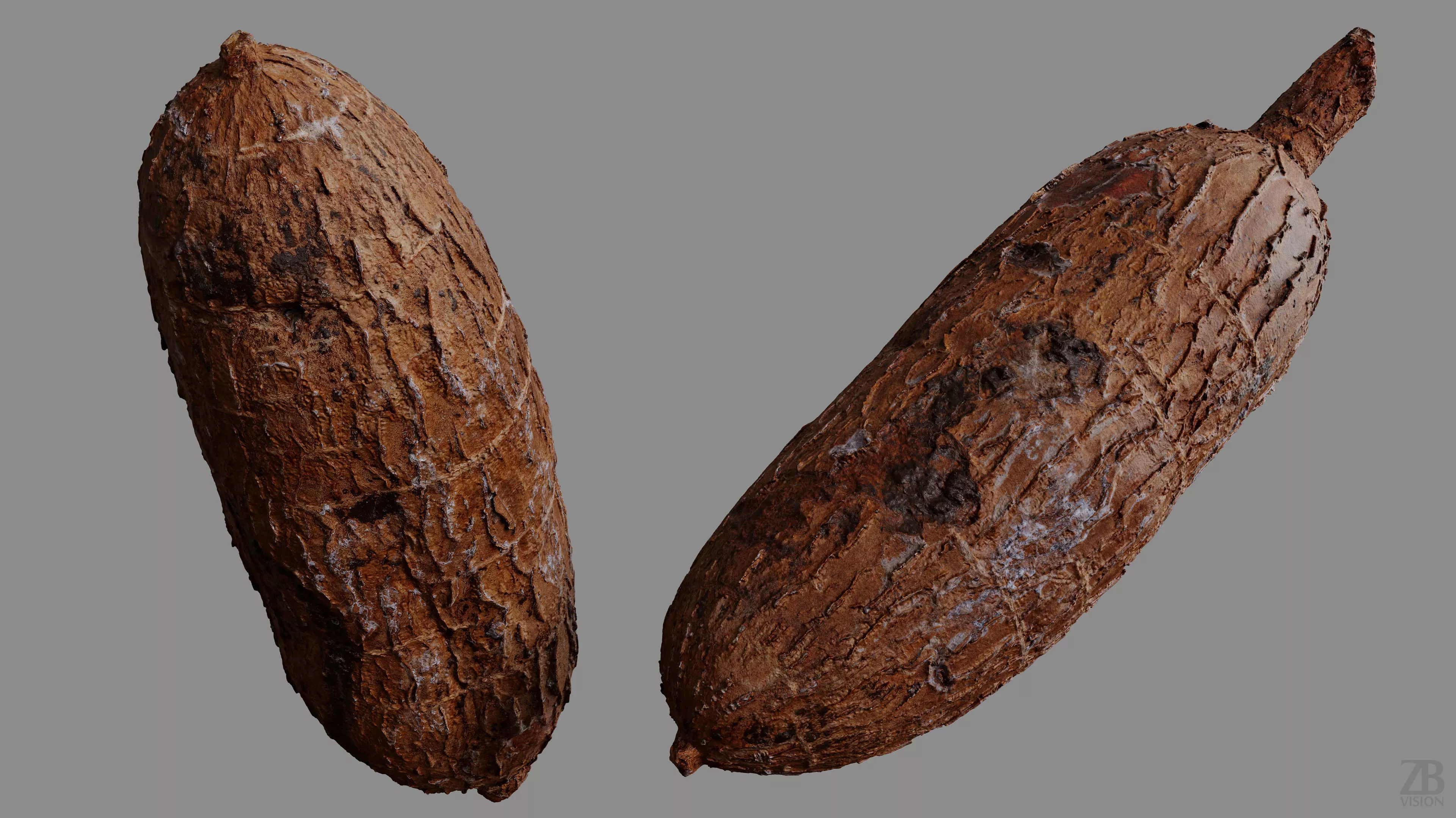 Cassava 3D model_9