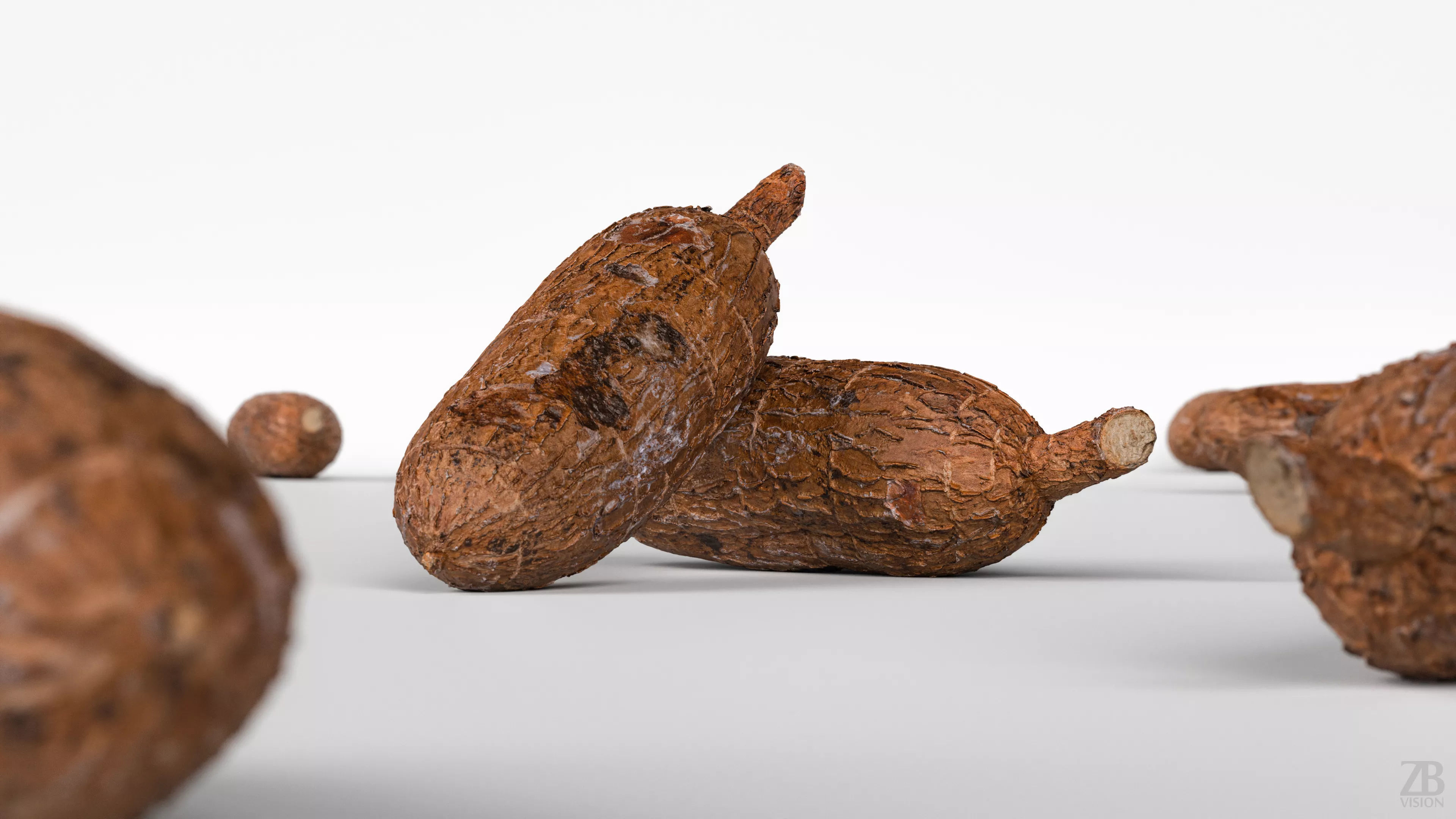 Cassava 3D model_1