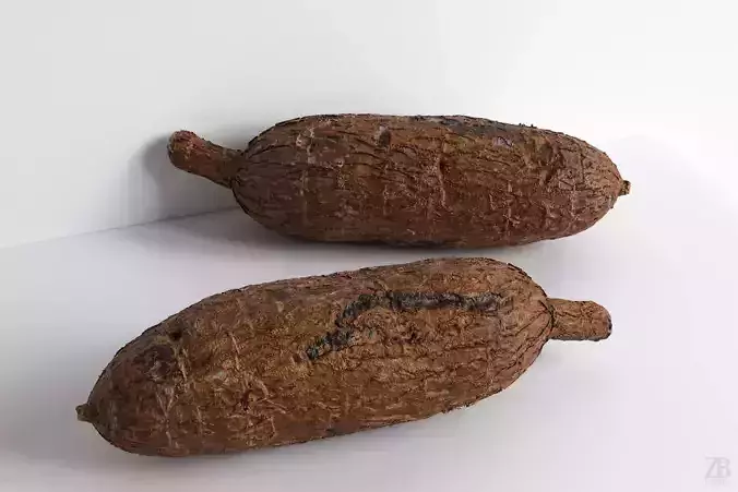Cassava 3D model