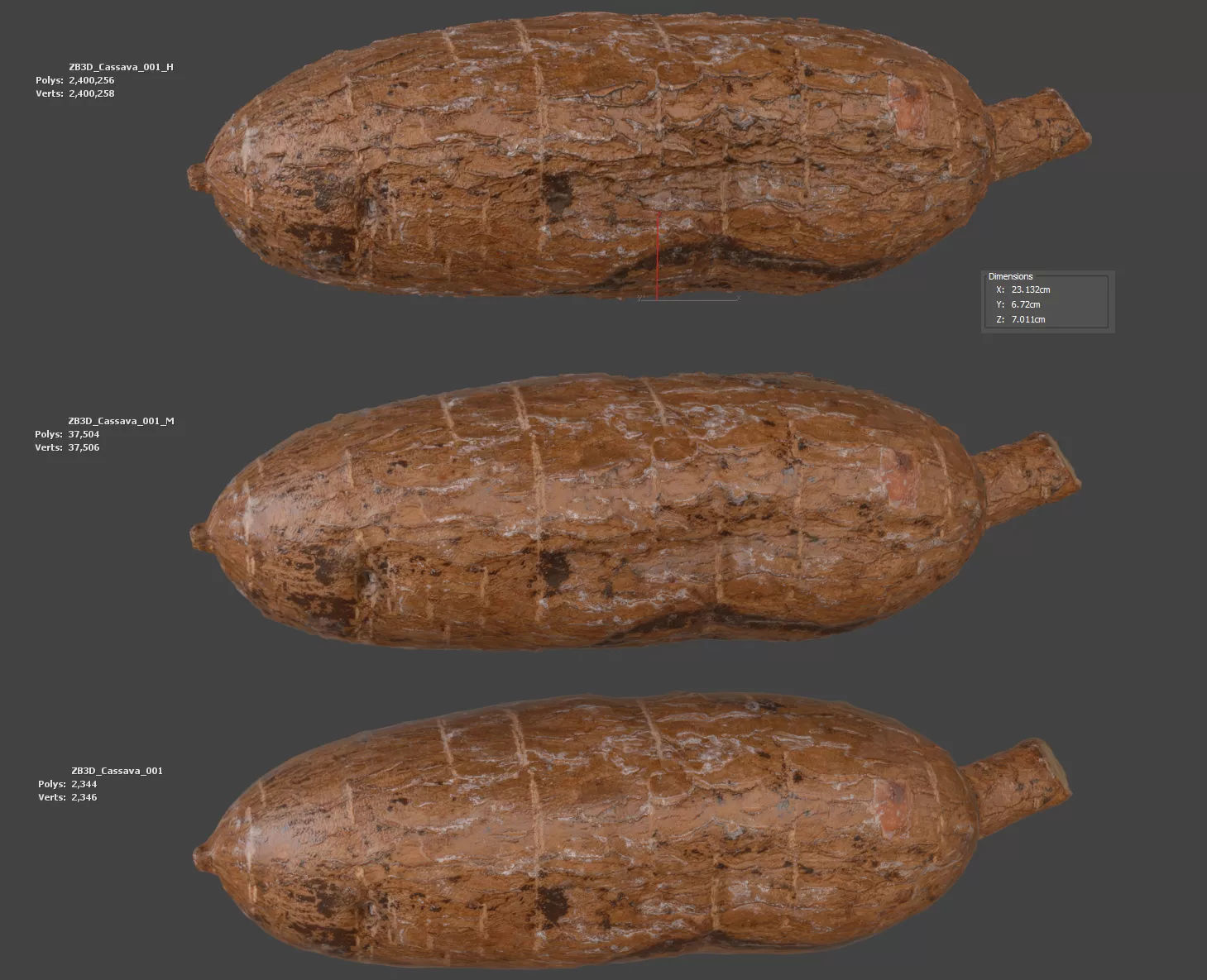 Cassava 3D model_5