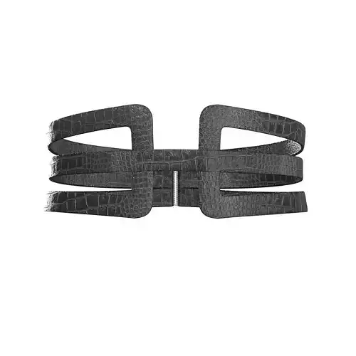 Black Frame Belt