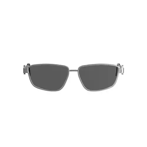 Silver Metal Sunglasses