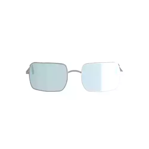 Tint Sunglasses 3D model